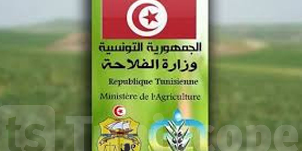 عاجل: وزارة الفلاحة تدعو لحماية المواشي والآلات من الطقس السيئ في مناطق معينة من البلاد